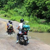 Ella Williams's Photo