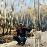 Azzam Alturki的照片