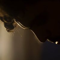 Francisco Parisi的照片