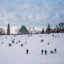 Sledging and Snowtubing at Riverdale Park East's picture