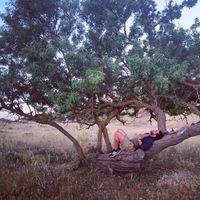 Zdjęcia użytkownika Amine Ben Amara