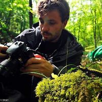 Valerio Red的照片