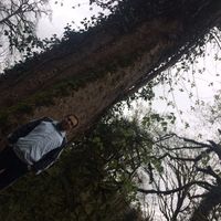 morteza lotfi's Photo