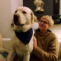 Jamie Mulcahy的照片