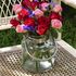 Asma Hosney's Photo