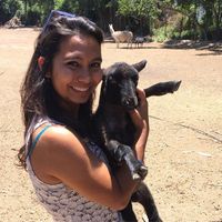 Alejandra Reveiz's Photo