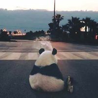 هند سليمان يوسف's Photo