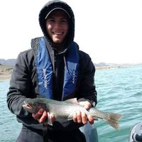 Anthony Hess的照片