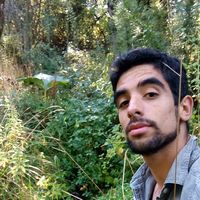 Fotos von Lucho Molina Aguirre