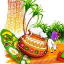 Bilder von CouchCrash - Pongal Thiruvizha @ Pollachi