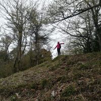 Szilvia Jakl的照片