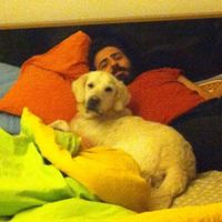 Sedat Demirci的照片