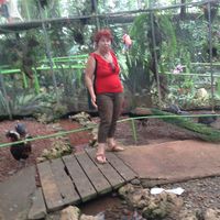 klara rosental's Photo