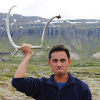 Фотографии пользователя Arby Lapira