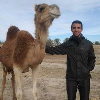 Youssef Wahabi's Photo