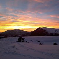 Edward Teach的照片