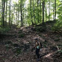 Gerardo Cruz's Photo