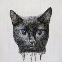 Benjamin Silva Farias的照片