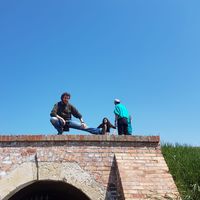 Tudor-Petre Constantinescu's Photo