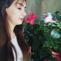 fateme alahyari's Photo