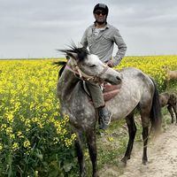 Zdjęcia użytkownika Dara Daneshmand