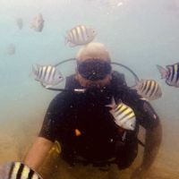 Daniel Rocha的照片