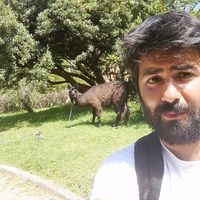 Giuseppe Bifulco's Photo