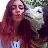 Inês Brás的照片