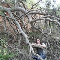 elena bellver's Photo