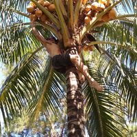 Raymond Stebbins's Photo