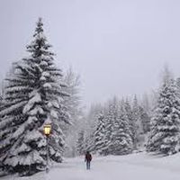 Pablo De La Reta的照片