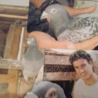 Abdoule Kajate的照片