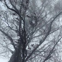 Pradeep Rajendran's Photo