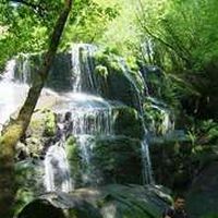 Pedro Cunha的照片