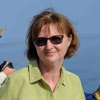 Susan  Anderson's Photo