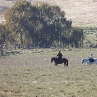 annie jacobs的照片