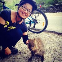 Ting Ting Hsu的照片