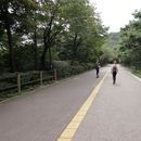 Namsan trail from Namdaemun Market to Chungmu-ro's picture