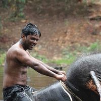 Mady Velkar的照片