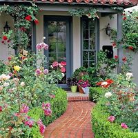 Tran Nguyen的照片