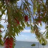 Hadhami Rifi's Photo