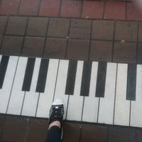 Sophie Cotte's Photo