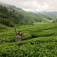 paulinealcazar's Photo