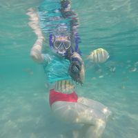 Casey Sandkuhl's Photo