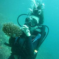 Fotos von Geumjo Han