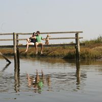 Inês & André's Photo