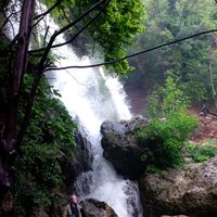 Alexandra Busurina的照片