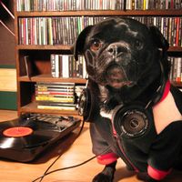 James  Frazer-Mann's Photo