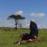 Photos de Sherine Tawfik