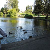 Robin Vickery's Photo